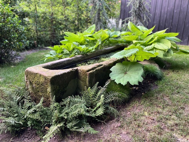 Tröge & Brunnen