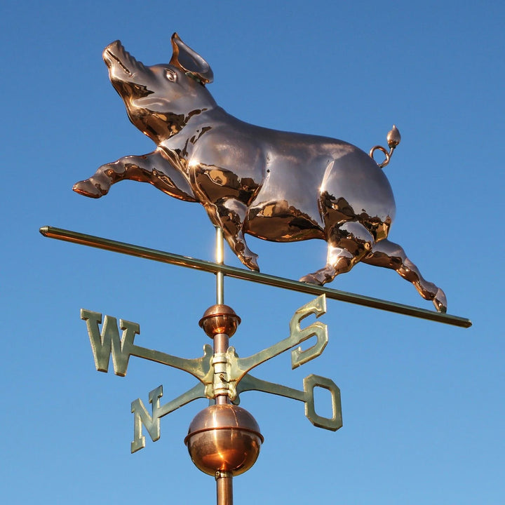 Große Wetterfahne - Schwein