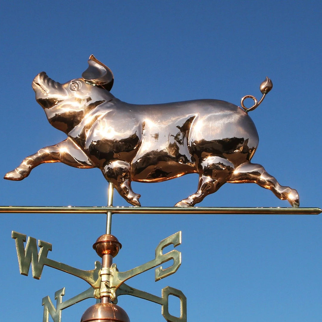 Große Wetterfahne - Schwein