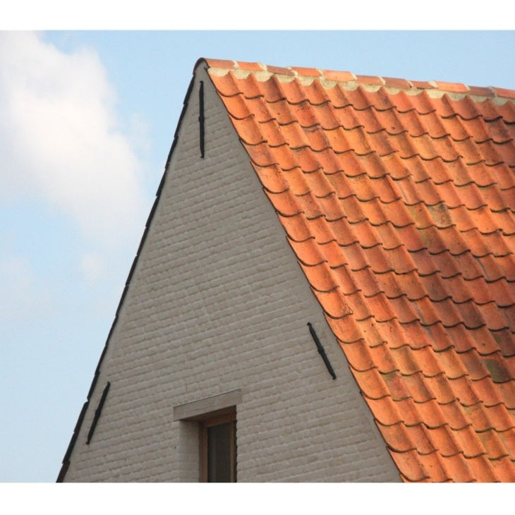 Maueranker Wandanker gerade