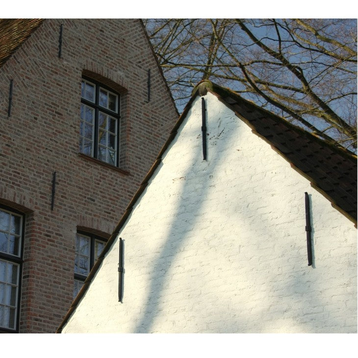 Maueranker Wandanker